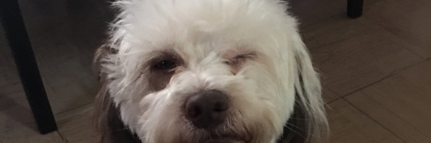 hetore22's profile banner image
