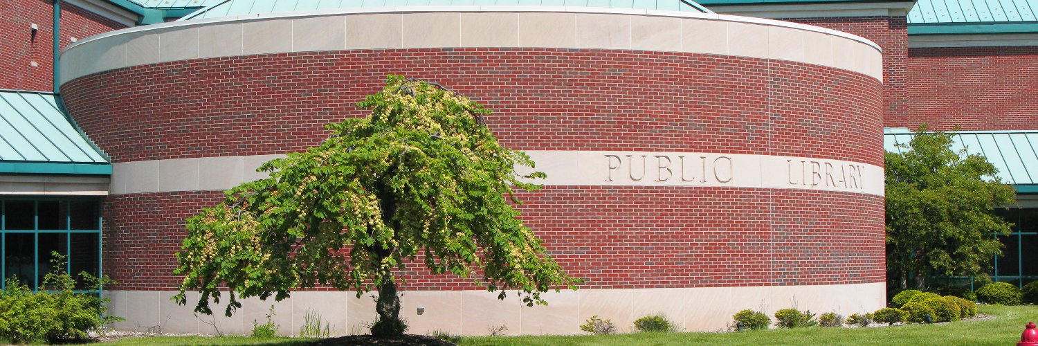 Rochester Hills Public Library banner