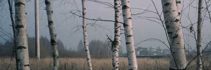 Иван ৩ shedtwt banner