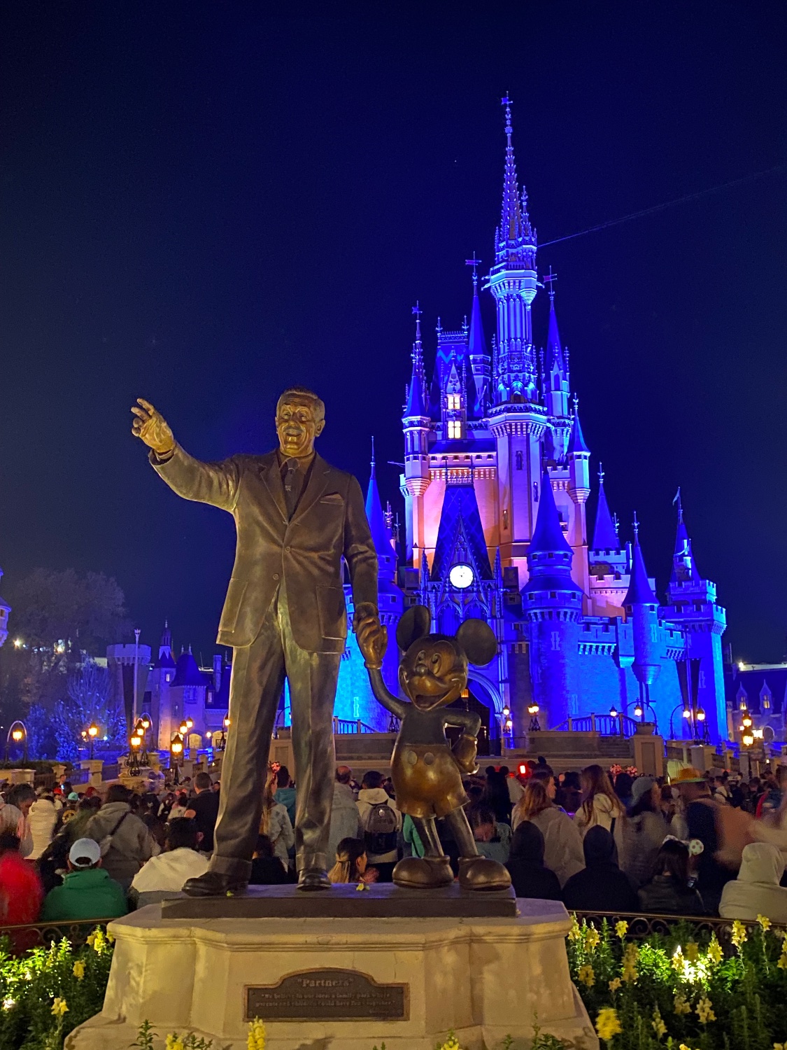 Madaline palmer banner