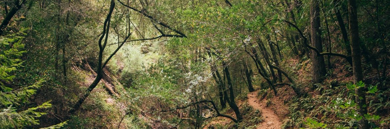 Franklin Featherston banner