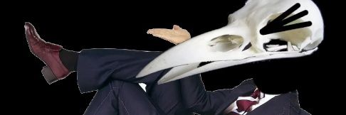 BirdbrainTalks's profile banner image