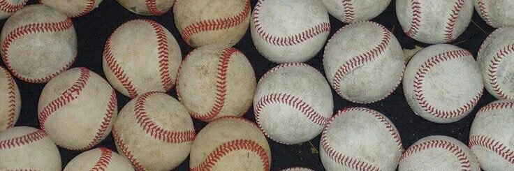 𝐓𝐑𝐀𝐍𝐒𝐂𝐄𝐍𝐃 𝐅𝐑𝐄𝐄𝐃𝐎𝐌 banner