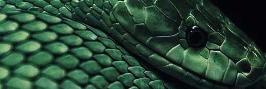 EdwardKepl63403's profile banner image