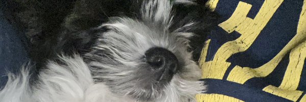 TopMarkNorwich Profile Banner