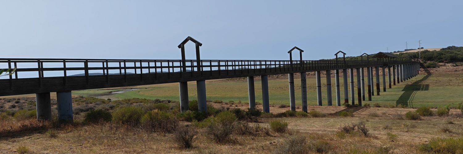 Eutimio Tucci banner