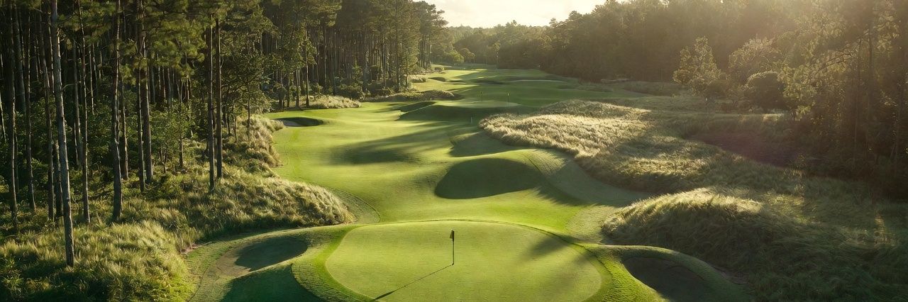 PUT YOUR PHONE DOWN banner