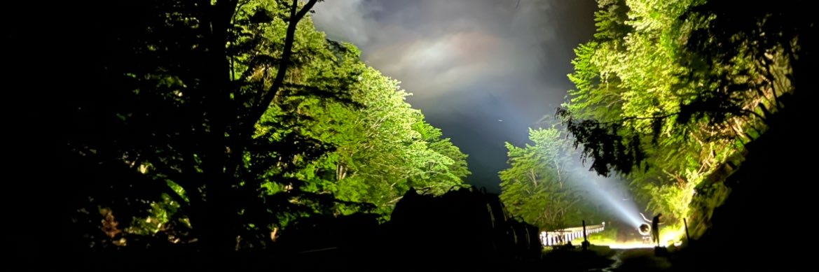 ふね@クワガタ banner