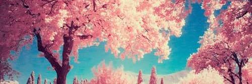 la_kbra's profile banner image