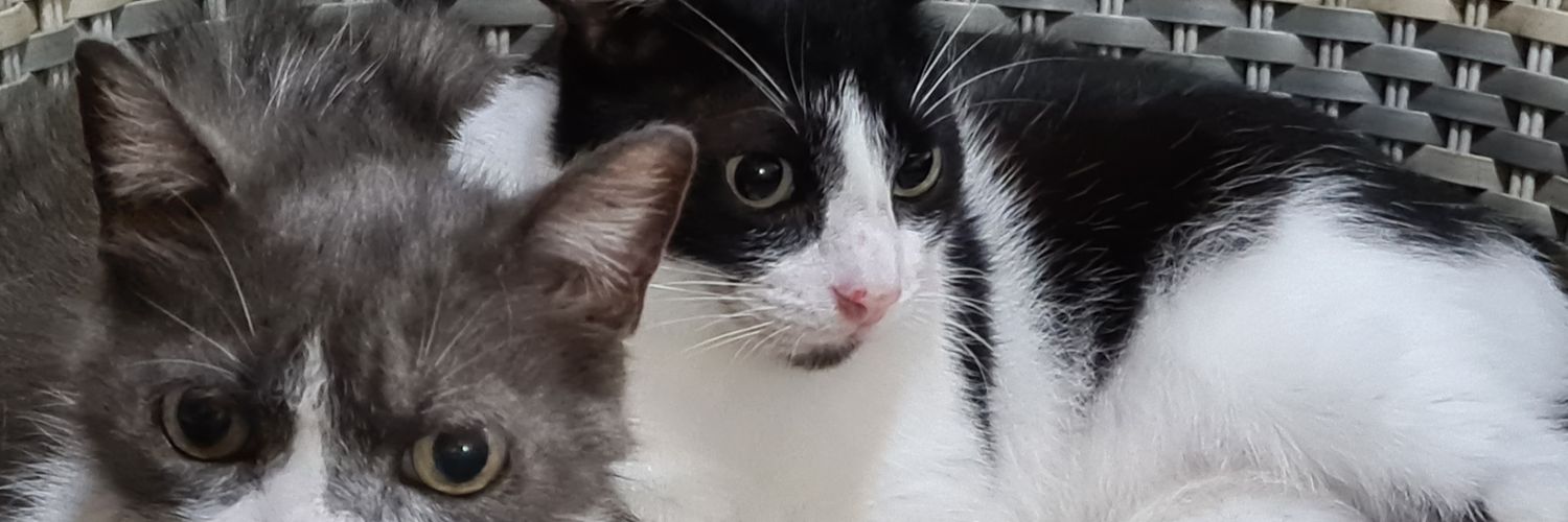 Taciana_'s profile banner image