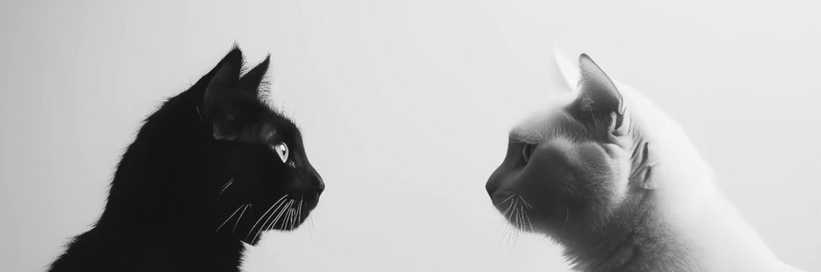 - banner