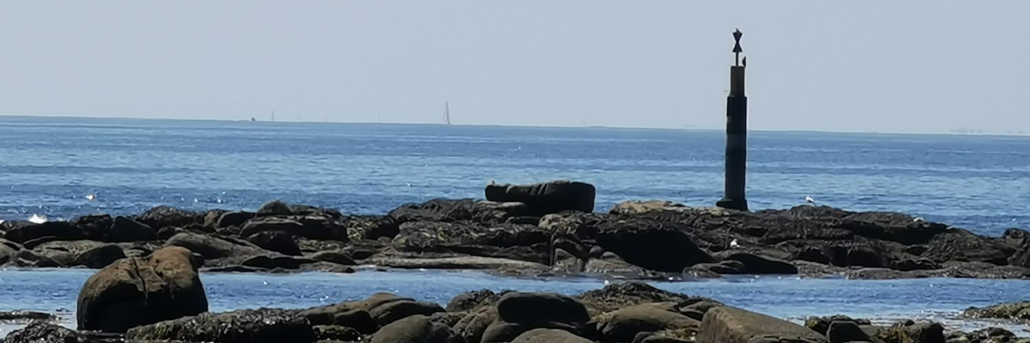 Alain Dejour #CPEA #JNFP banner