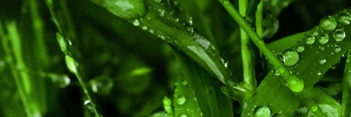 nuitcom's profile banner image