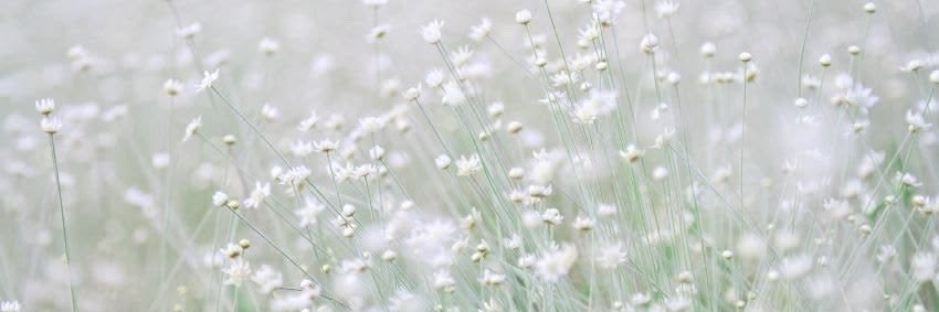 glittermaze's profile banner image
