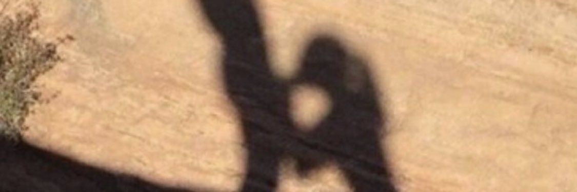 Petar. banner