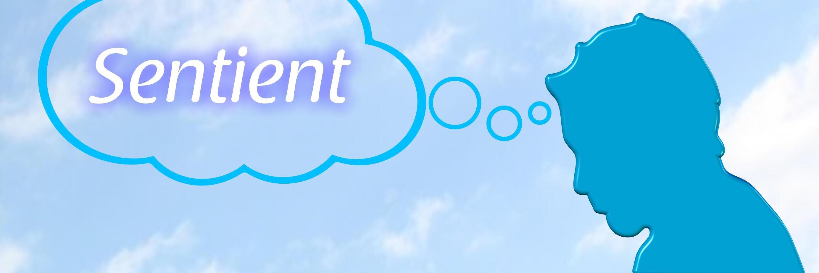 Darren F Magee banner