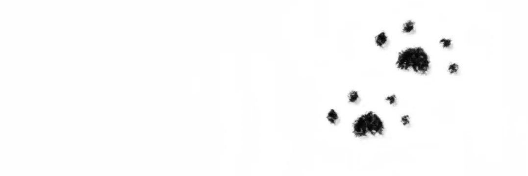 知之为吱吱🍒 banner