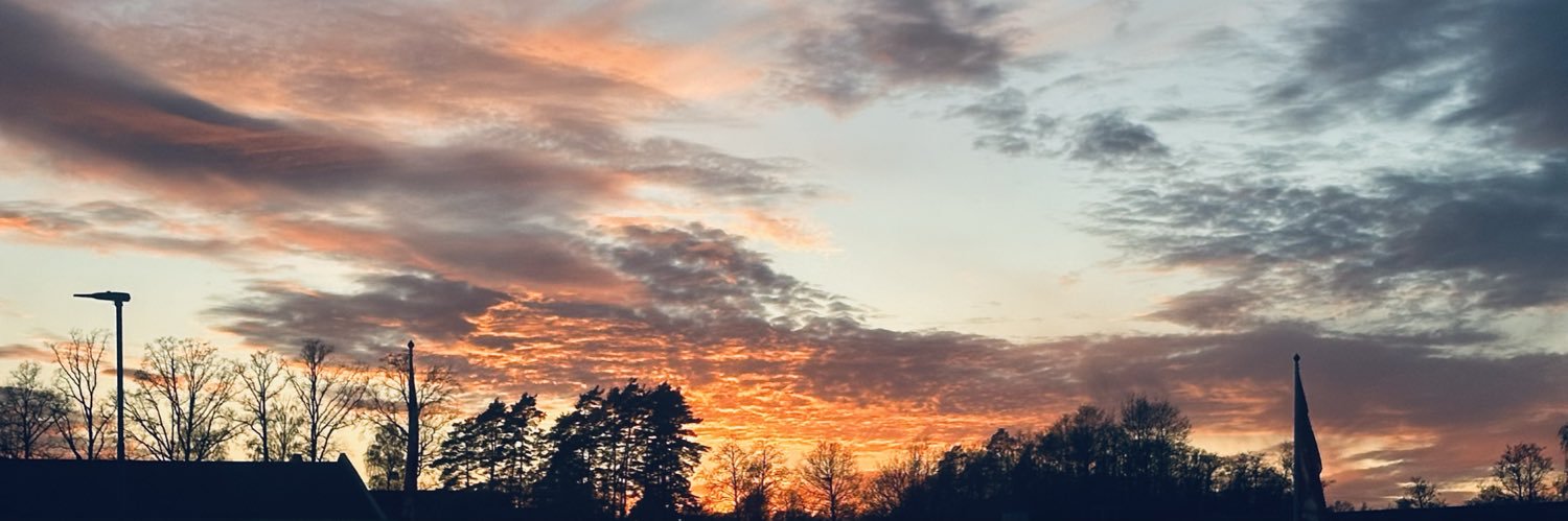amoneee_'s profile banner image