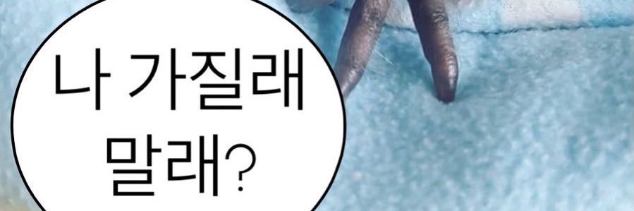 료 banner