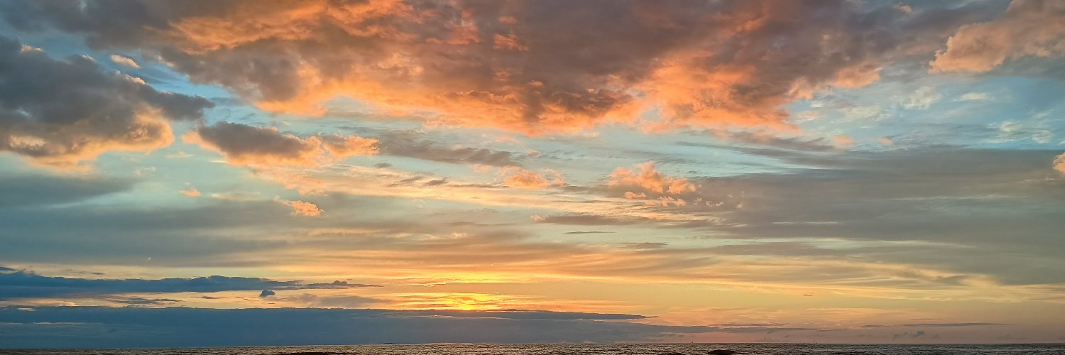 Libertäre Praxis banner