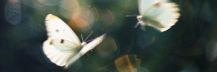 lil 𝜗ৎ banner