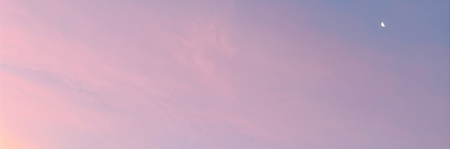 ニツケ banner