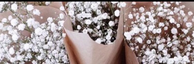 BethLouH's profile banner image
