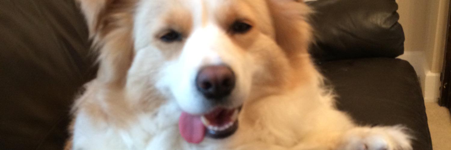 Sleightholm's profile banner image