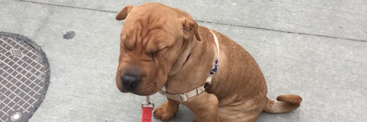 timwong22's profile banner image
