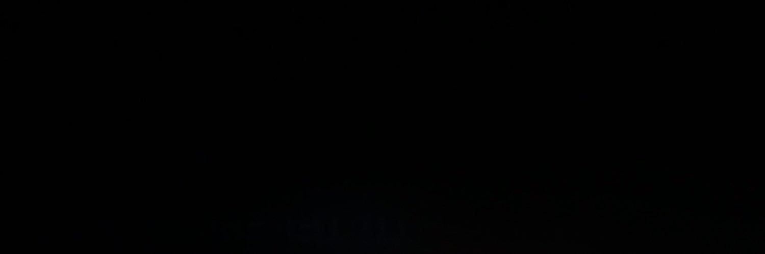 loeweboots's profile banner image