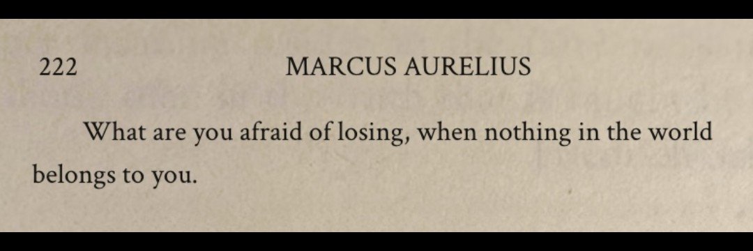 Options insight banner