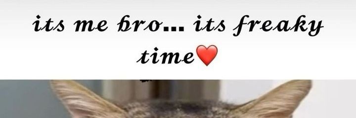 Silver'sSpicyAlt🔞 banner