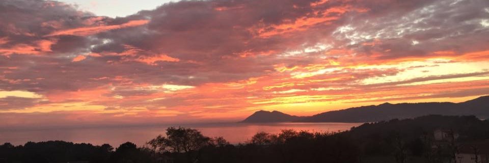 Alejandro Ramos banner