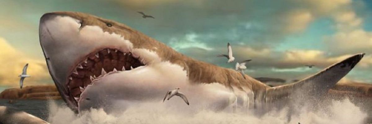 SKARAMOSH's profile banner image