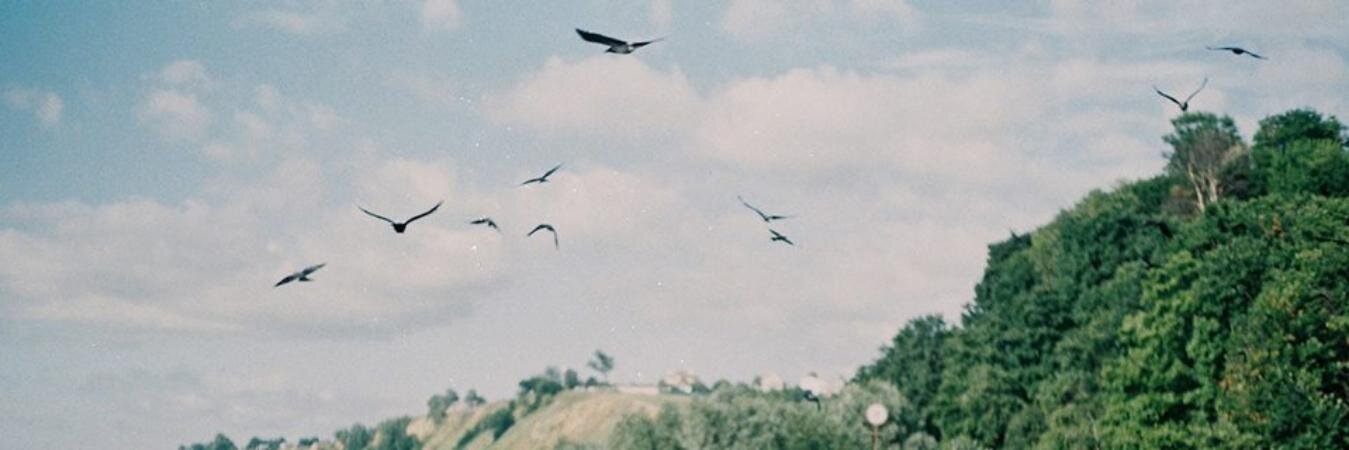 Dayvie's profile banner image