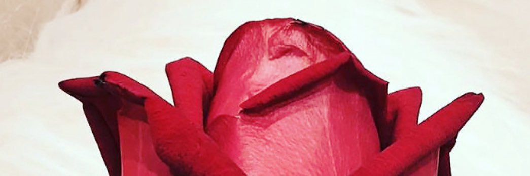 Oumarou Traore banner