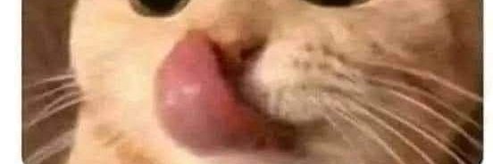 Somos VARIOS SINGLES para cumplir fantasias banner