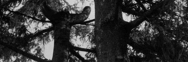 heofbows Profile Banner