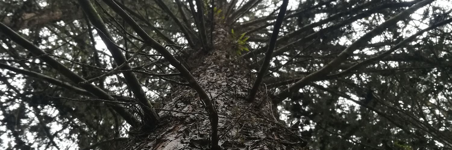 orionramos's profile banner image