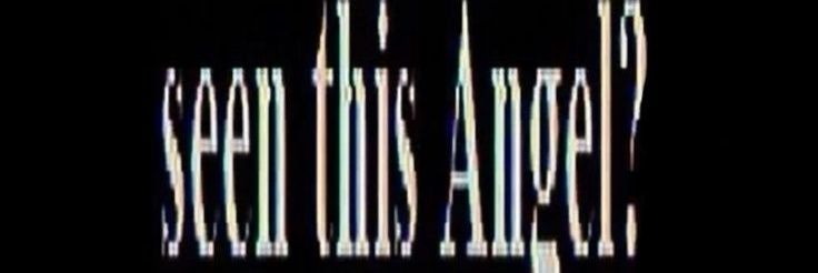 Mylö. banner