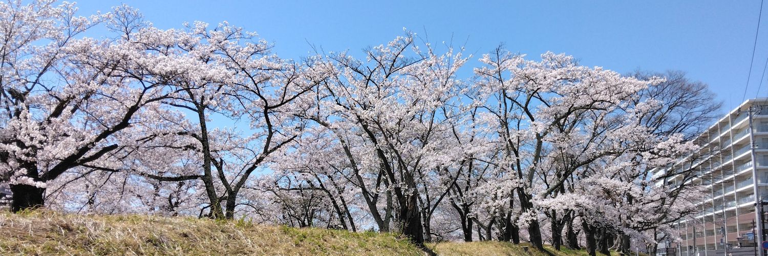 @chamachamagoo banner