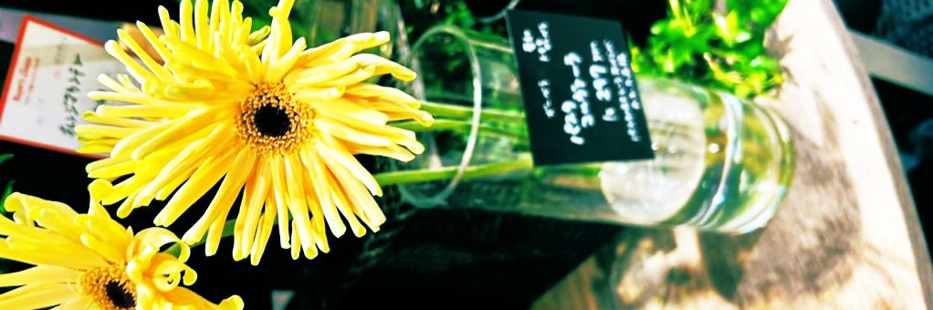 ℂ,🌼 banner