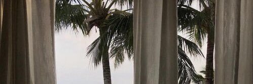 jane margolis banner