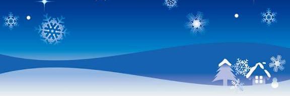winter_flowers7's profile banner image