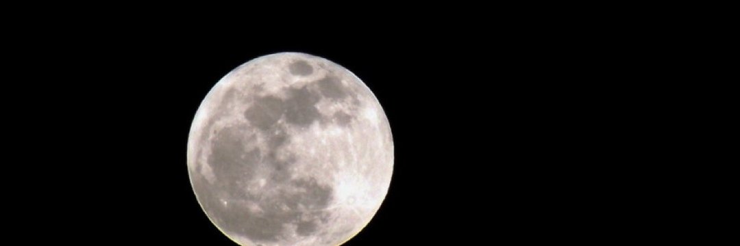 rothsteing11058's profile banner image