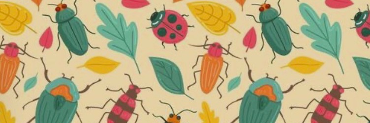 Sport BBug banner