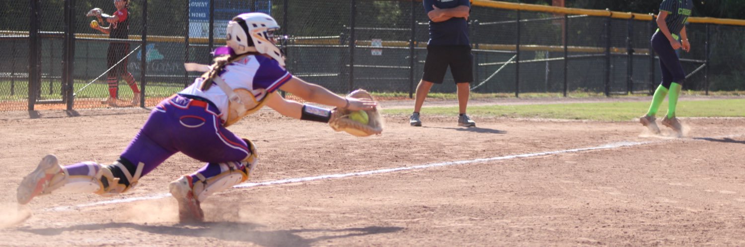 Callie Hamilton 2030 banner