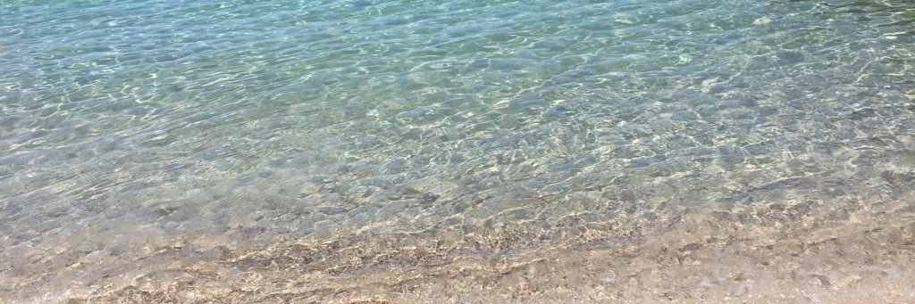 eylemaksin's profile banner image