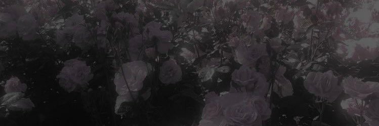 ♱ 荊 𝔵⛓️ banner