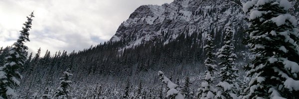 TheMobilePhile Profile Banner